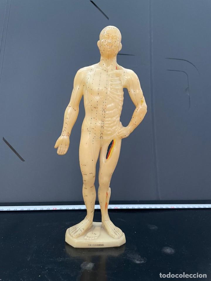 Antig&uuml;edades: Figura acupuntura - Foto 2