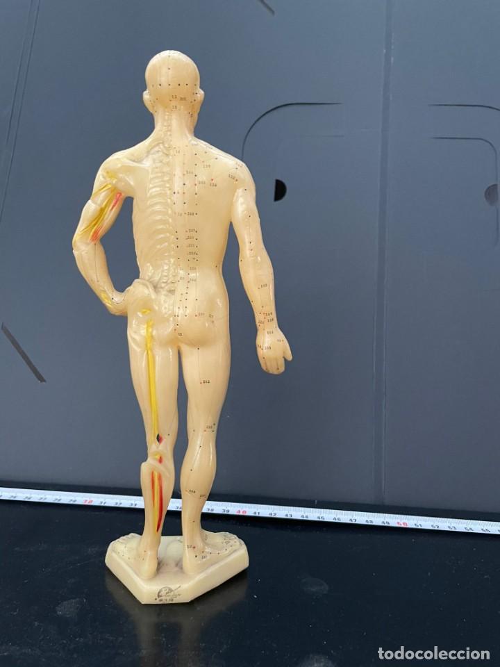 Antig&uuml;edades: Figura acupuntura - Foto 3