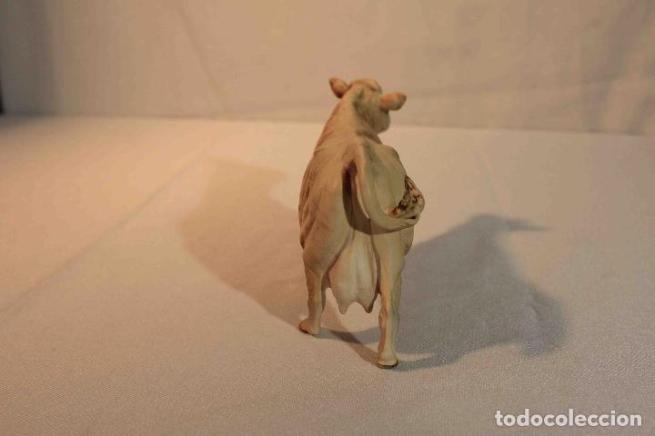 Antig&uuml;edades: FIGURA VACA PORCELANA &nbsp;&nbsp;&nbsp;&nbsp;&nbsp;&nbsp;&nbsp;&nbsp;&nbsp;&nbsp;&nbsp;&nbsp;&nbsp;&nbsp;&nbsp;&nbsp; - Foto 4