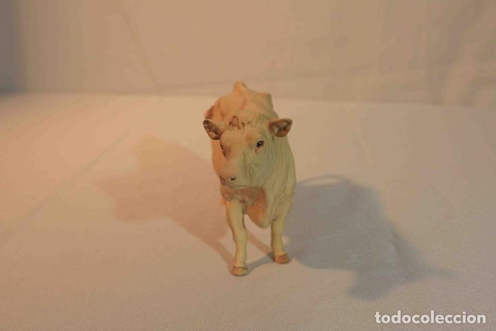 Antig&uuml;edades: FIGURA VACA PORCELANA &nbsp;&nbsp;&nbsp;&nbsp;&nbsp;&nbsp;&nbsp;&nbsp;&nbsp;&nbsp;&nbsp;&nbsp;&nbsp;&nbsp;&nbsp;&nbsp; - Foto 5