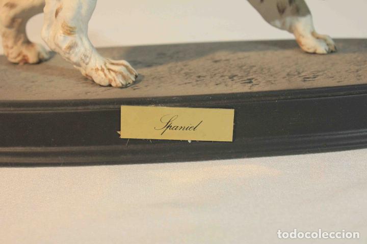 Antig&uuml;edades: FIGURA PORCELANA PERRO SPANIEL &nbsp;&nbsp;&nbsp;&nbsp;&nbsp;&nbsp;&nbsp; - Foto 2