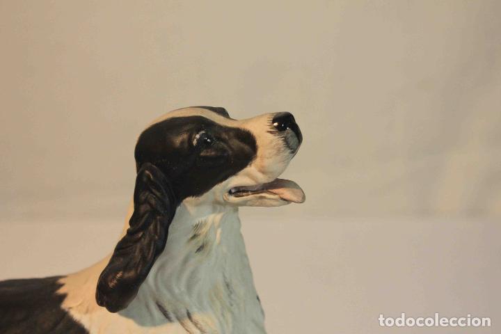 Antig&uuml;edades: FIGURA PORCELANA PERRO SPANIEL &nbsp;&nbsp;&nbsp;&nbsp;&nbsp;&nbsp;&nbsp; - Foto 3