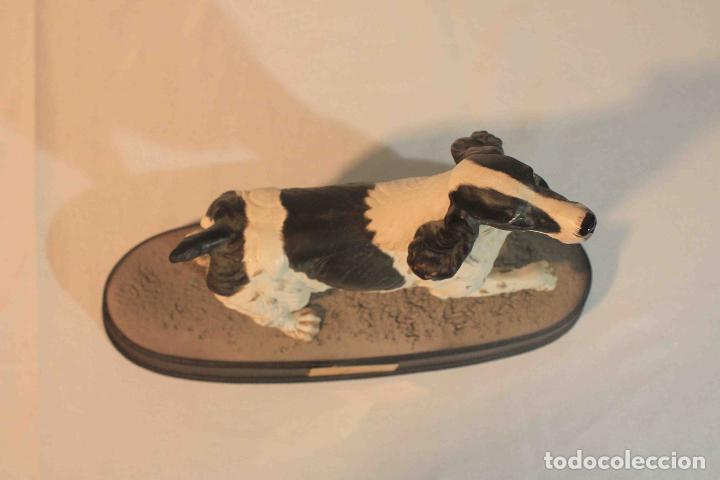 Antig&uuml;edades: FIGURA PORCELANA PERRO SPANIEL &nbsp;&nbsp;&nbsp;&nbsp;&nbsp;&nbsp;&nbsp; - Foto 8
