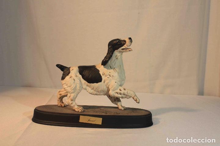 Antig&uuml;edades: FIGURA PORCELANA PERRO SPANIEL &nbsp;&nbsp;&nbsp;&nbsp;&nbsp;&nbsp;&nbsp; - Foto 1