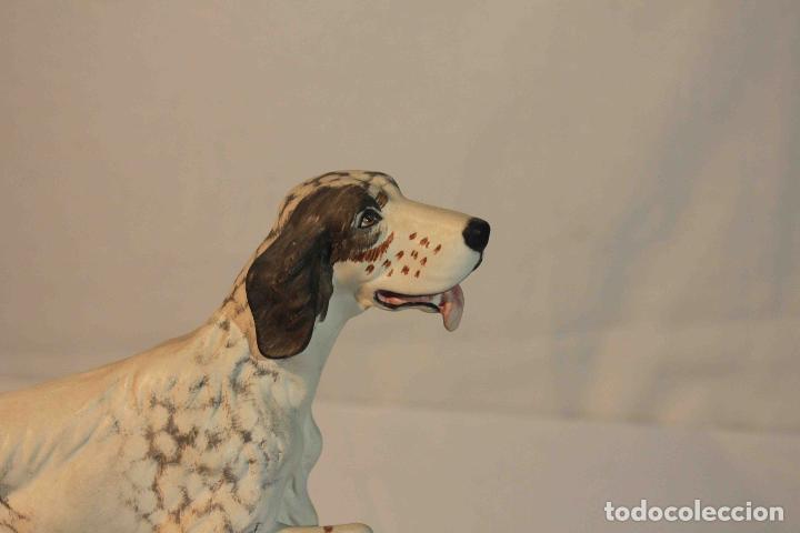 Antig&uuml;edades: FIGURA PORCELANA PERRO SETTER &nbsp;&nbsp;&nbsp;&nbsp;&nbsp;&nbsp;&nbsp;&nbsp; - Foto 2