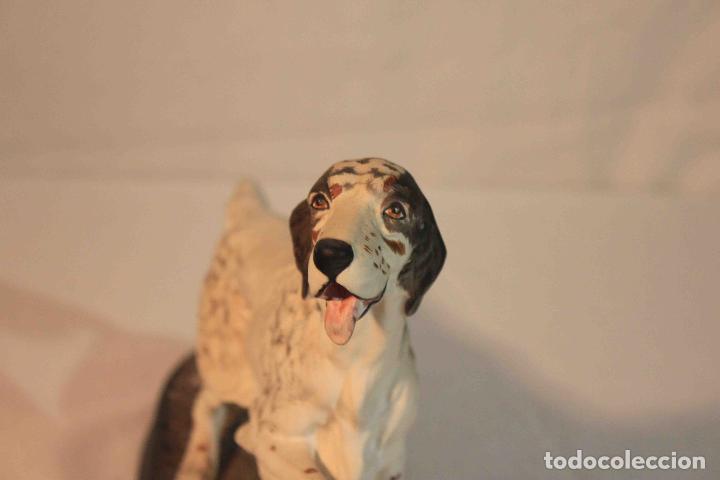Antig&uuml;edades: FIGURA PORCELANA PERRO SETTER &nbsp;&nbsp;&nbsp;&nbsp;&nbsp;&nbsp;&nbsp;&nbsp; - Foto 3