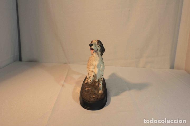 Antig&uuml;edades: FIGURA PORCELANA PERRO SETTER &nbsp;&nbsp;&nbsp;&nbsp;&nbsp;&nbsp;&nbsp;&nbsp; - Foto 4