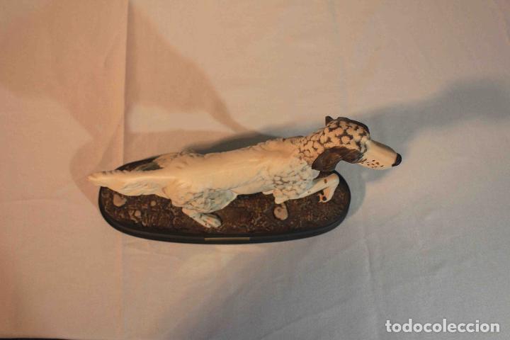 Antig&uuml;edades: FIGURA PORCELANA PERRO SETTER &nbsp;&nbsp;&nbsp;&nbsp;&nbsp;&nbsp;&nbsp;&nbsp; - Foto 7