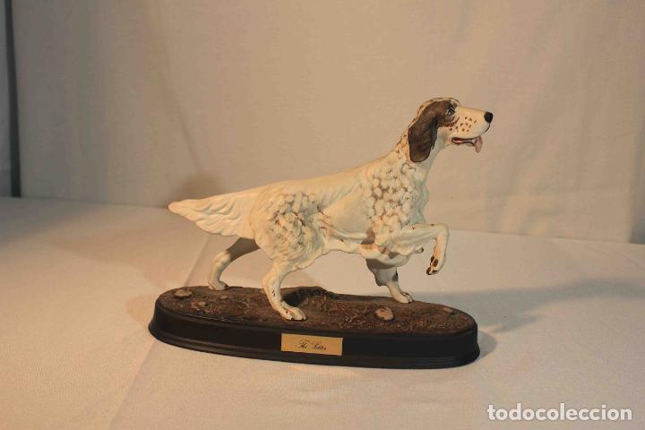 Antig&uuml;edades: FIGURA PORCELANA PERRO SETTER &nbsp;&nbsp;&nbsp;&nbsp;&nbsp;&nbsp;&nbsp;&nbsp; - Foto 1