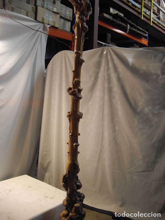 Antig&uuml;edades: RAIZ CON BASE 240cm - Foto 2