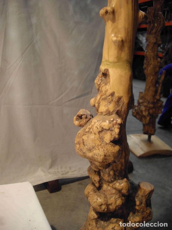 Antig&uuml;edades: RAIZ CON BASE 240cm - Foto 4