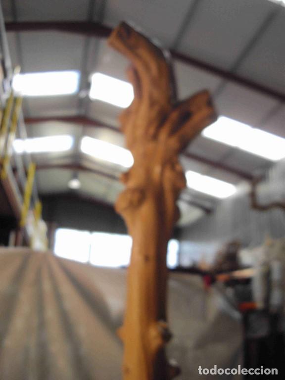 Antig&uuml;edades: RAIZ CON BASE 240cm - Foto 6