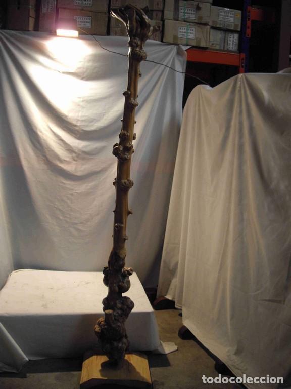 Antig&uuml;edades: RAIZ CON BASE 240cm - Foto 1