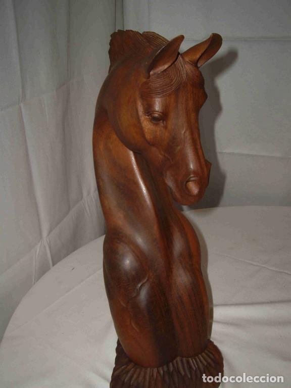 Antig&uuml;edades: BUSTO CABALLO MADERA - Foto 3