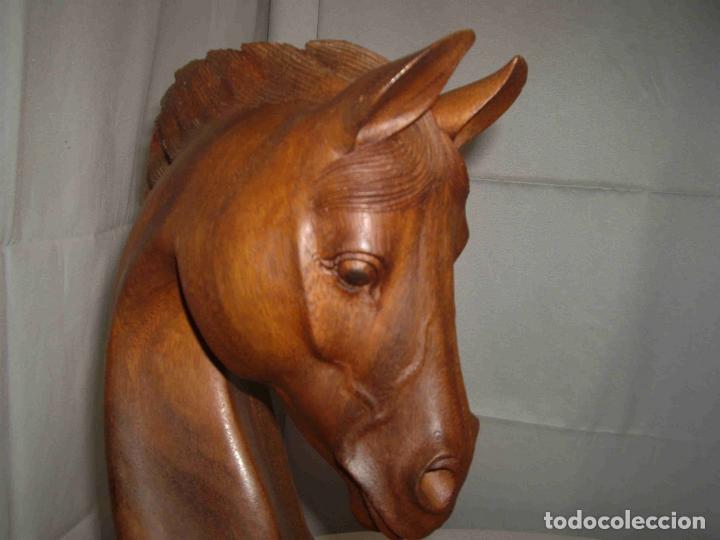 Antig&uuml;edades: BUSTO CABALLO MADERA - Foto 5