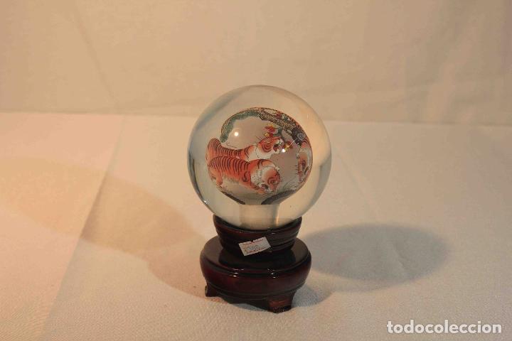 Antig&uuml;edades: BOLA PINTADA INTE TIGRE &nbsp;&nbsp;&nbsp;&nbsp;&nbsp;&nbsp;&nbsp;&nbsp;&nbsp;&nbsp;&nbsp;&nbsp;&nbsp;&nbsp; - Foto 2