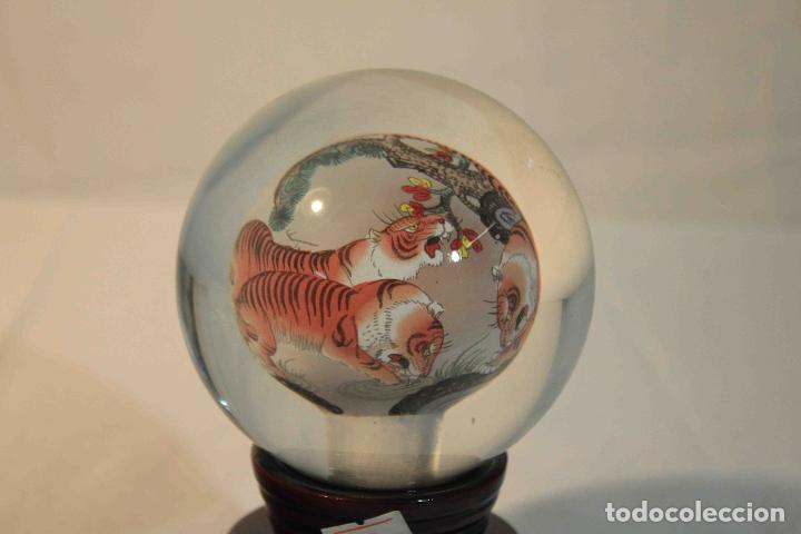Antig&uuml;edades: BOLA PINTADA INTE TIGRE &nbsp;&nbsp;&nbsp;&nbsp;&nbsp;&nbsp;&nbsp;&nbsp;&nbsp;&nbsp;&nbsp;&nbsp;&nbsp;&nbsp; - Foto 3