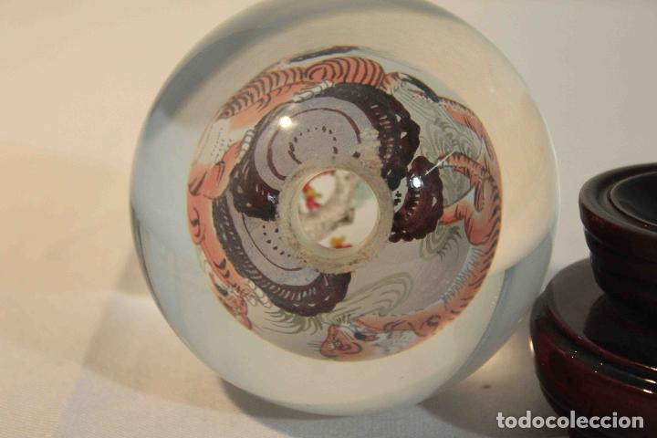 Antig&uuml;edades: BOLA PINTADA INTE TIGRE &nbsp;&nbsp;&nbsp;&nbsp;&nbsp;&nbsp;&nbsp;&nbsp;&nbsp;&nbsp;&nbsp;&nbsp;&nbsp;&nbsp; - Foto 5