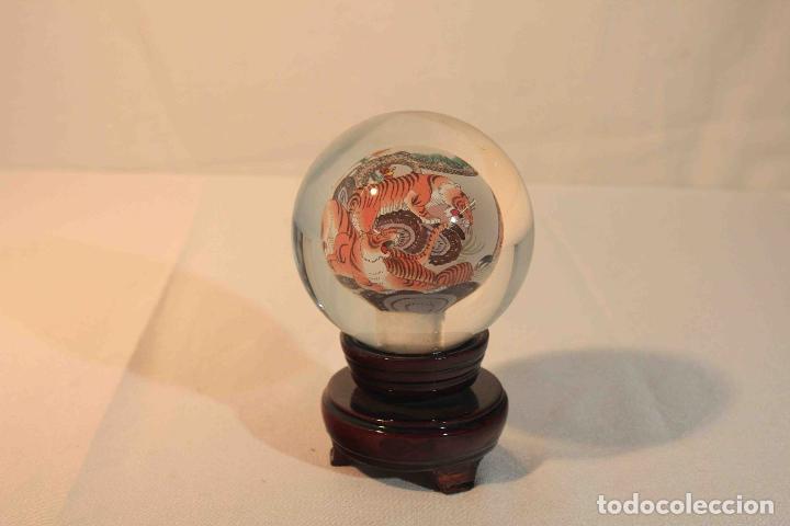 Antig&uuml;edades: BOLA PINTADA INTE TIGRE &nbsp;&nbsp;&nbsp;&nbsp;&nbsp;&nbsp;&nbsp;&nbsp;&nbsp;&nbsp;&nbsp;&nbsp;&nbsp;&nbsp; - Foto 1