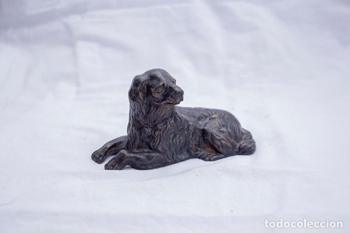 Antiquit&auml;ten: Perro de bronce