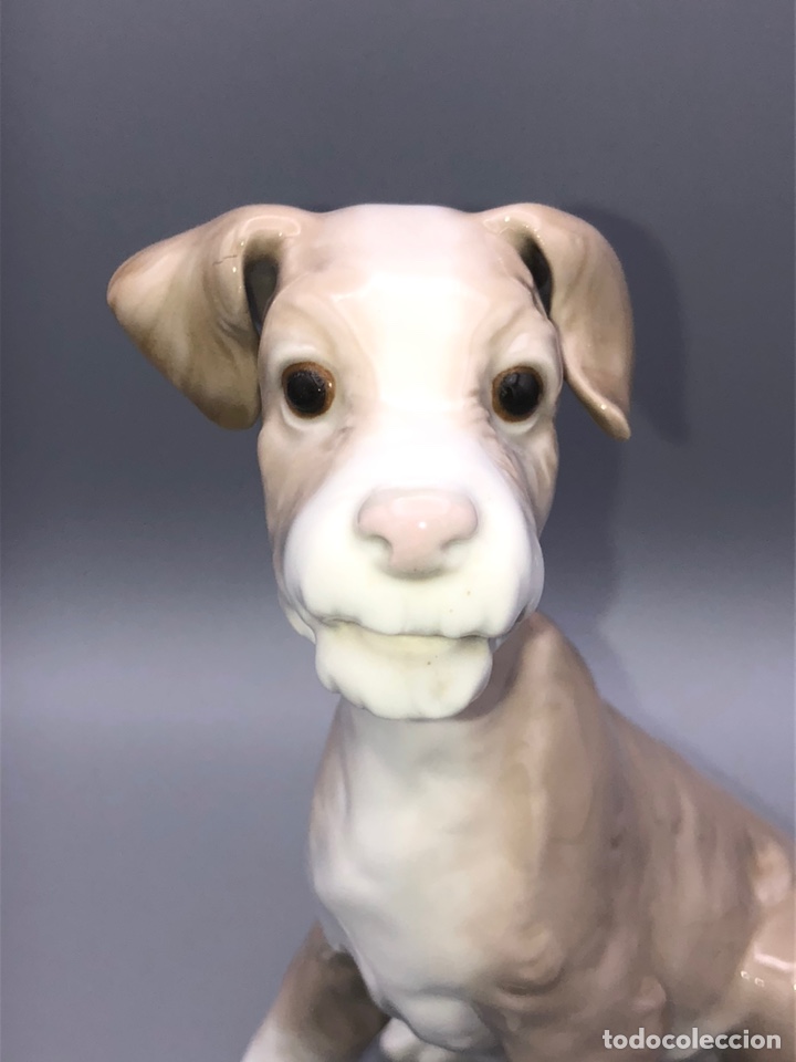 Antig&uuml;edades: REF: 01004583 &ldquo;PERRO Tipo 31&rdquo; LLADR&Oacute; - Foto 3