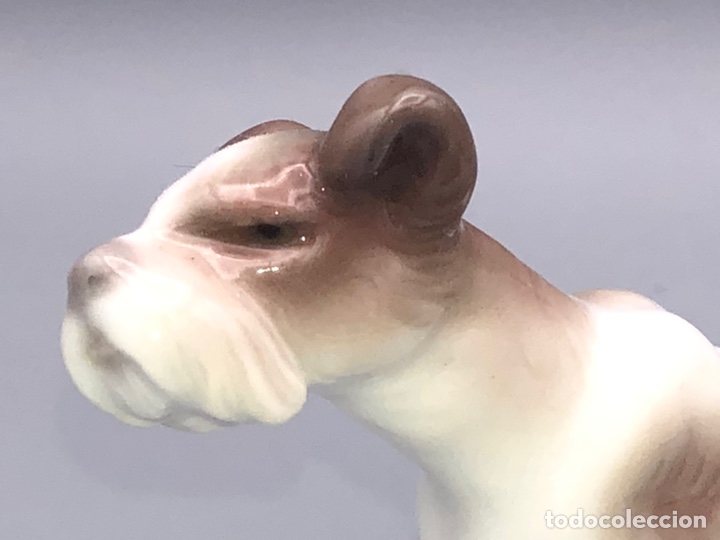 Antig&uuml;edades: REF: 01004901 &ldquo;PERRO VAGABUNDO&rdquo; LLADR&Oacute; - Foto 3