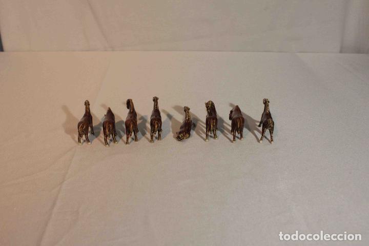 Antig&uuml;edades: SET 8 CABALLOS PORCELANA &nbsp;&nbsp;&nbsp;&nbsp;&nbsp;&nbsp;&nbsp;&nbsp;&nbsp;&nbsp;&nbsp;&nbsp;&nbsp; - Foto 3