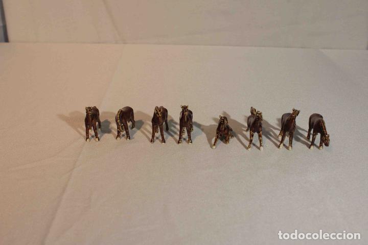 Antig&uuml;edades: SET 8 CABALLOS PORCELANA &nbsp;&nbsp;&nbsp;&nbsp;&nbsp;&nbsp;&nbsp;&nbsp;&nbsp;&nbsp;&nbsp;&nbsp;&nbsp; - Foto 1