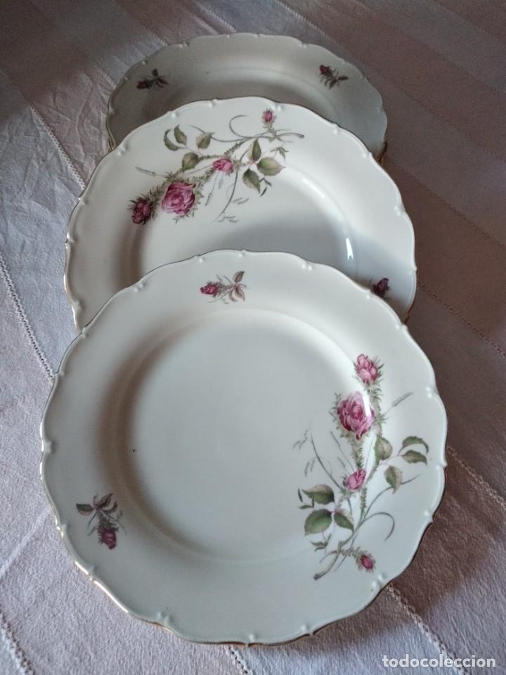 Antiques: Lote de 6 platos llanos de porcelana qualitats porzellan mouse rose