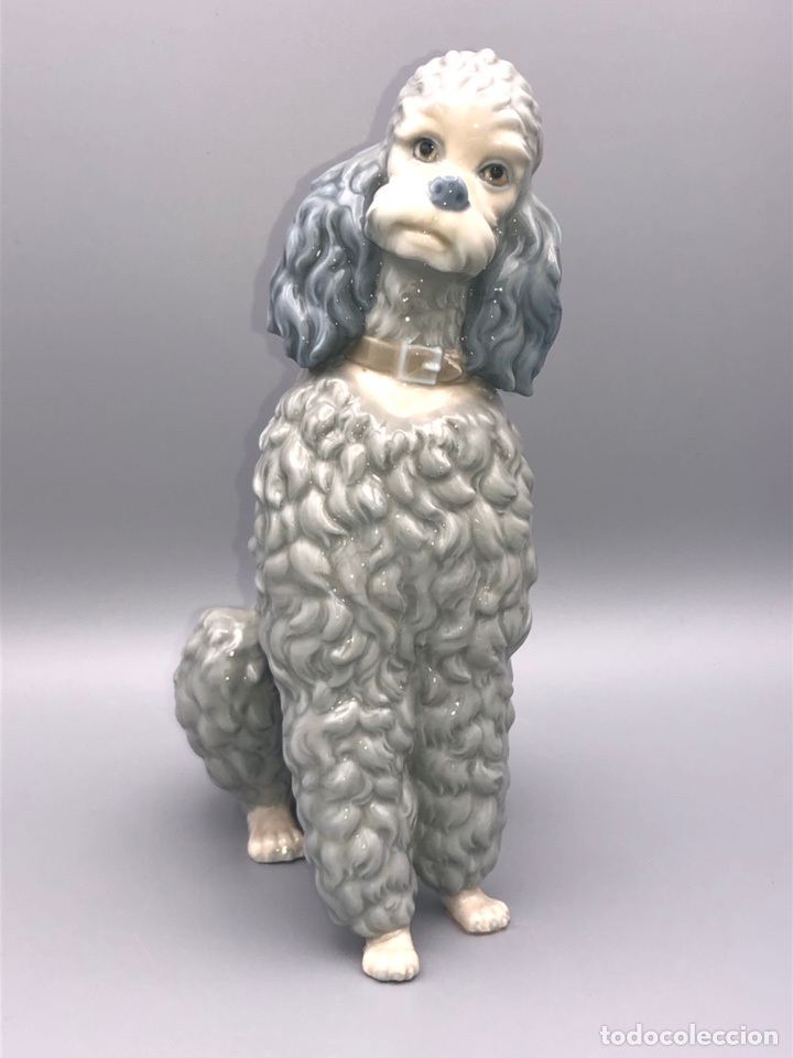 Antig&uuml;edades: REF: 01000325.13 &ldquo;CANICHE&rdquo; LLADR&Oacute; - Foto 4