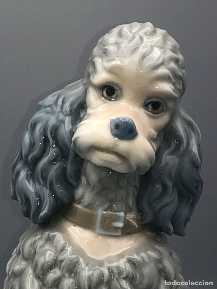 Antig&uuml;edades: REF: 01000325.13 &ldquo;CANICHE&rdquo; LLADR&Oacute; - Foto 3