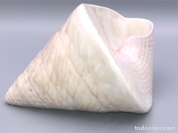 Antig&uuml;edades: REF: 01005568 &ldquo;CARACOLA C&Oacute;NICA&rdquo; LLADR&Oacute; - Foto 4