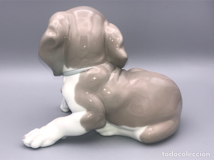 Antig&uuml;edades: REF: 01001139 &ldquo;PERRO CARACOL GRANDE&rdquo; LLADR&Oacute; - Foto 6
