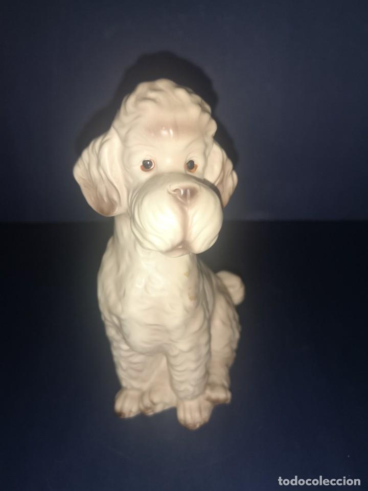 Oggetti Antichi: Figura de perro de porcelana