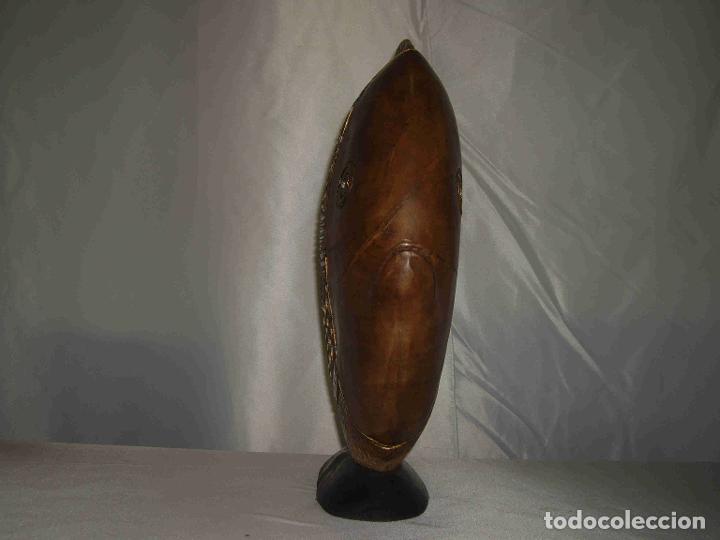 Antig&uuml;edades: PEZ MEDIA LUNA MARRON 51 - Foto 2