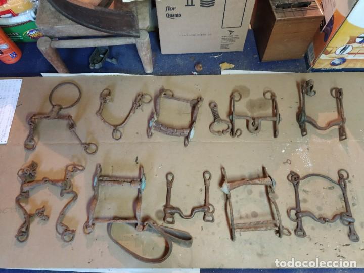 Antig&uuml;edades: Super lote de herrajes de caballo. - Foto 3