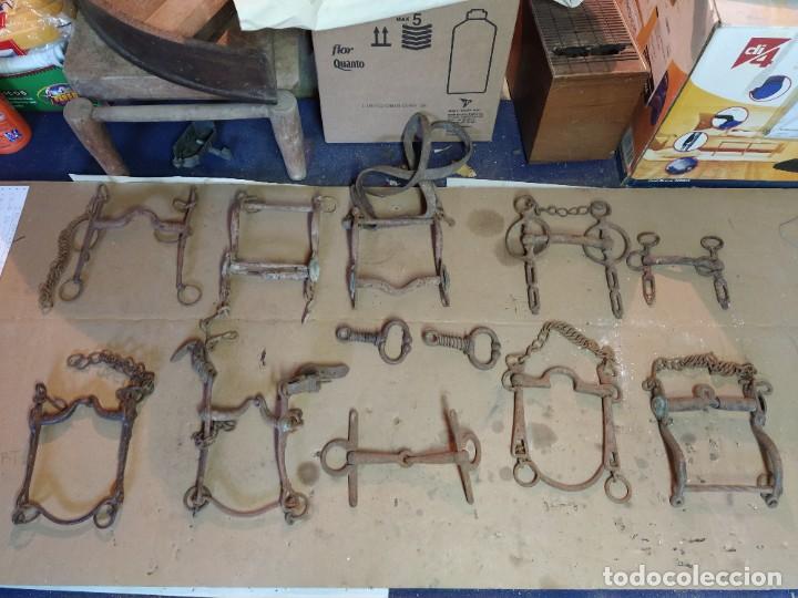 Antig&uuml;edades: Super lote de herrajes de caballo. - Foto 4