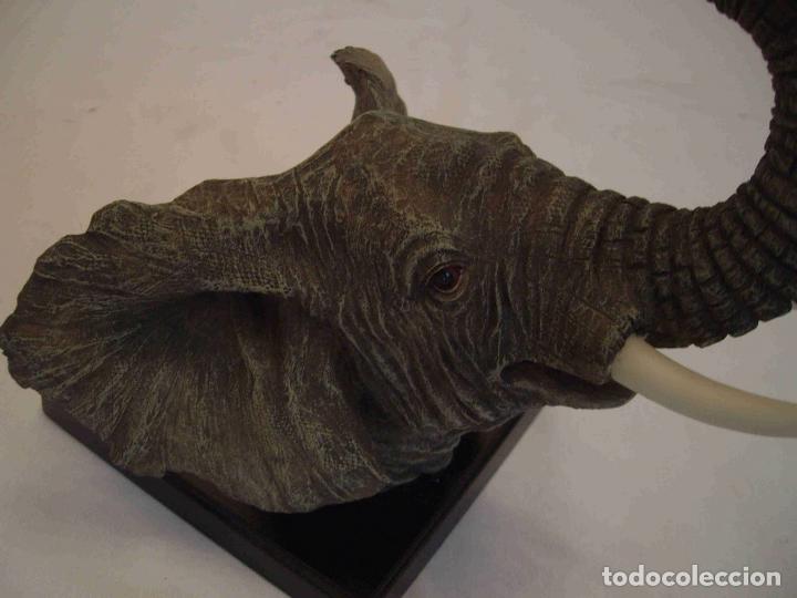 Antig&uuml;edades: BUSTO ELEFANTE RESINA - Foto 3