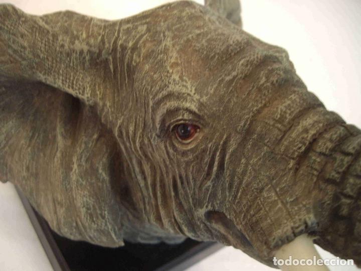 Antig&uuml;edades: BUSTO ELEFANTE RESINA - Foto 5