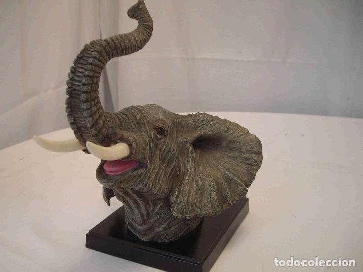 Antig&uuml;edades: BUSTO ELEFANTE RESINA - Foto 1