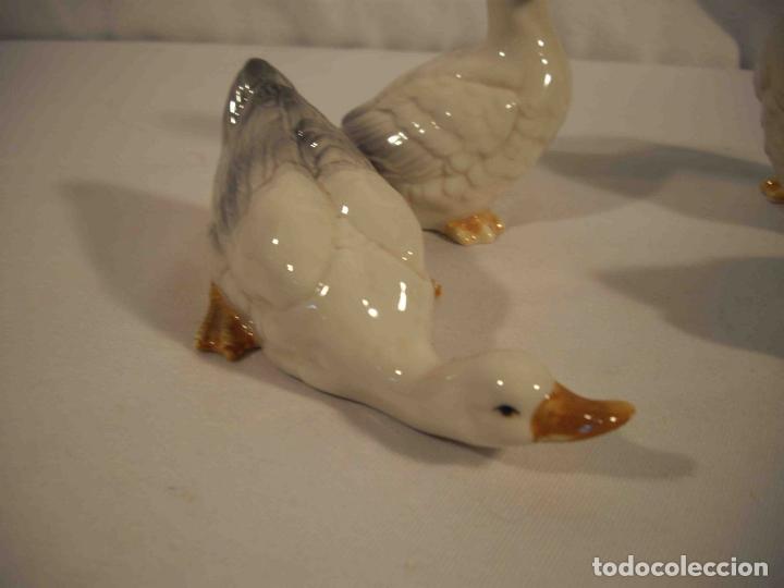 Antig&uuml;edades: SET DE 4 PATOS PORCELANA - Foto 3
