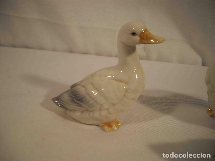 Antig&uuml;edades: SET DE 4 PATOS PORCELANA - Foto 4
