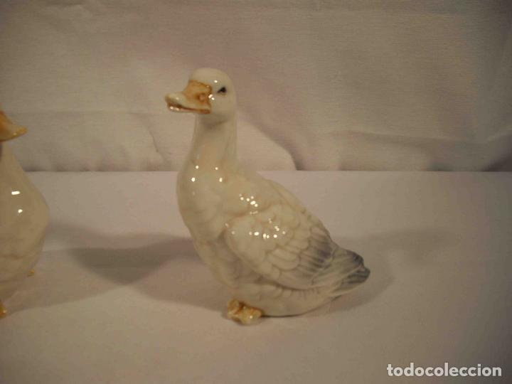Antig&uuml;edades: SET DE 4 PATOS PORCELANA - Foto 5