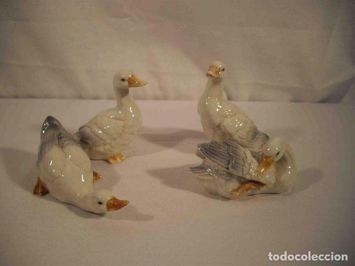 Antig&uuml;edades: SET DE 4 PATOS PORCELANA - Foto 1