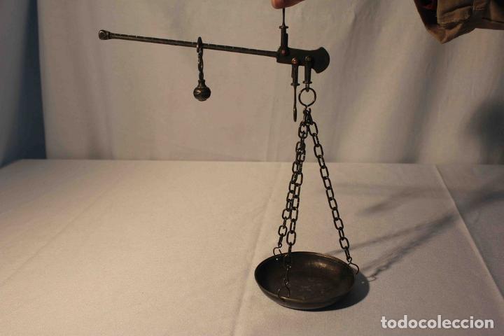 PESA ROMANA L