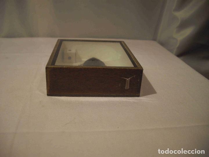 Antig&uuml;edades: ESCARABAJO ENMARCADO - Foto 1