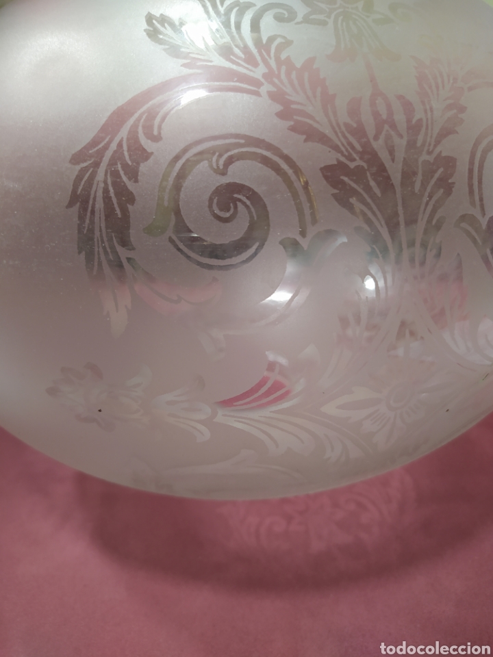 Antig&uuml;edades: Tulipa globo para quinqu&eacute; - Foto 2