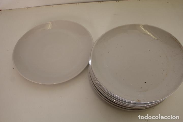 Antig&uuml;edades: lote de 11 platos saturnia - Foto 1