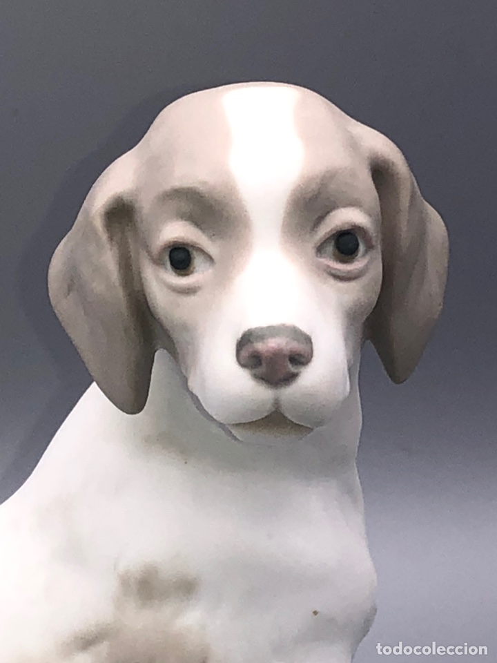 Antig&uuml;edades: REF: PP118 &ldquo;PERRO SENTADO (MATE)&rdquo; LLADR&Oacute; - Foto 5