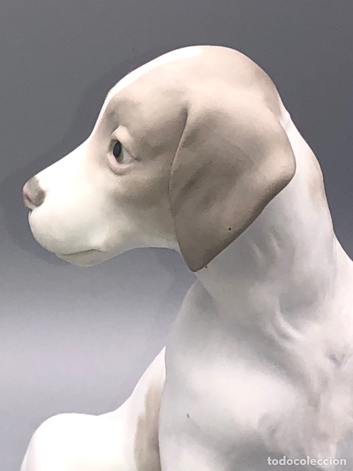 Antig&uuml;edades: REF: PP118 &ldquo;PERRO SENTADO (MATE)&rdquo; LLADR&Oacute; - Foto 6